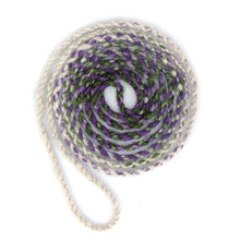 Load image into Gallery viewer, crocus